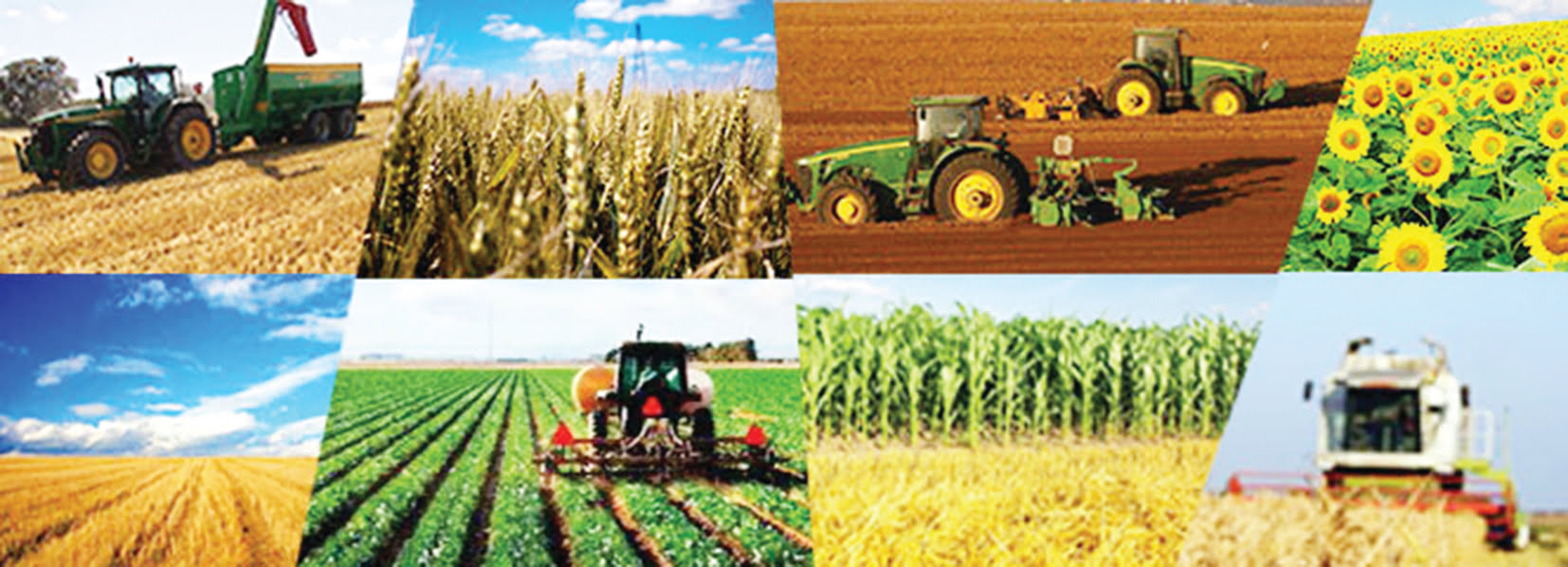 Read more about the article Recensământul general agricol  – Runda 2000