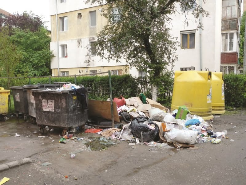 Read more about the article Primarul municipiului Deva este nemulţumit de starea de curăţenie din unele cartiere