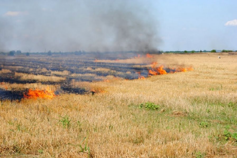 Read more about the article Zeci de incendii de vegetație uscată în județul Hunedoara în acest sfârșit de săptămână