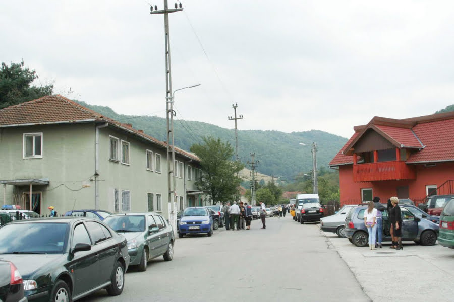 Read more about the article Pregătiri pentru Zilele comunei Veţel