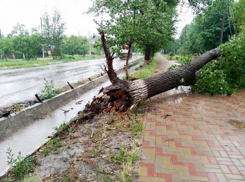 Read more about the article 21 de autoturisme avariate, 228 de arbori doborâţi şi 30 de acoperişuri smulse de furtunile puternice de joi