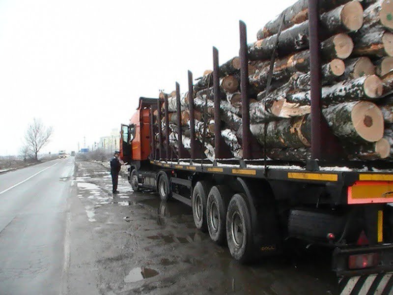 Read more about the article Peste 2500 mc de material lemnos confiscat de poliţişti