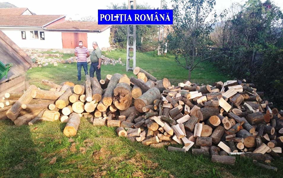 Read more about the article Prins de jandarmi cu lemn furat. A primit amendă de 1000 de lei