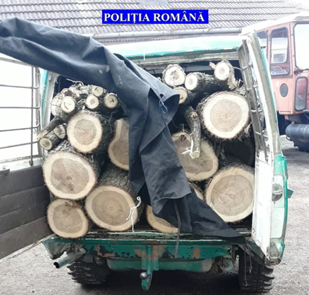 Read more about the article Amenzi de peste 13.000 de lei pentru transport ilegal de material lemnos