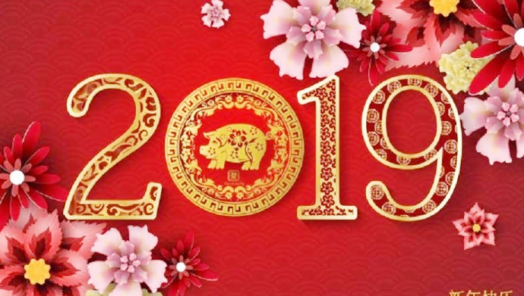 Read more about the article Zodiacul chinezesc:  Anul 2019, sub semnul Mistrețului de Pământ