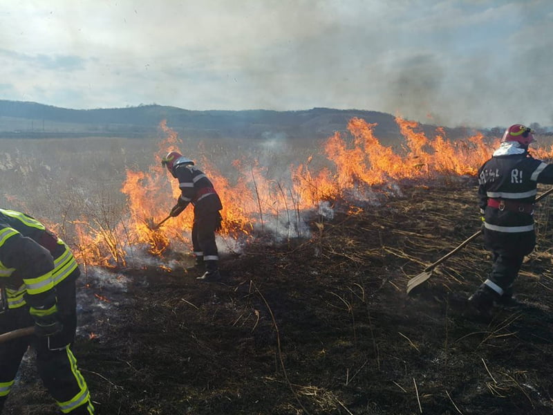 Read more about the article Peste 100 de hectare de litieră de pădure din județ, incendiate în week-end