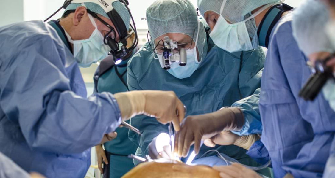 Read more about the article Vieți salvate în urma prelevării de organe la spitalul din Deva