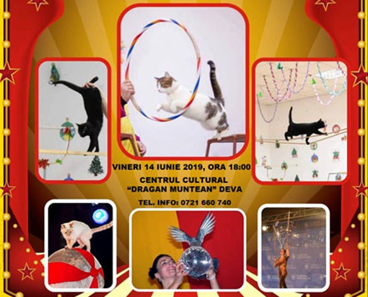 Read more about the article ”Cat Show” – Spectacol pentru copii, la Centrul Cultural din Deva