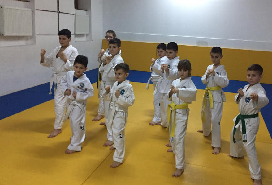 Read more about the article Campioni în Cetate – demonstraţie de taekwondo