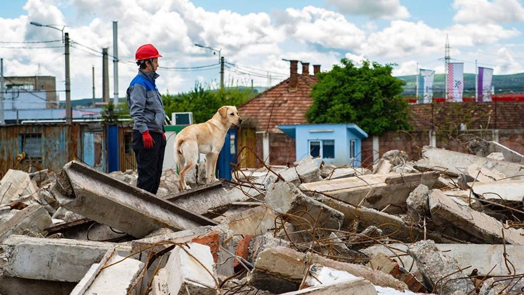 Read more about the article Echipaj canin hunedorean atestat mondial pentru operațiunile de căutare – salvare în dărâmături