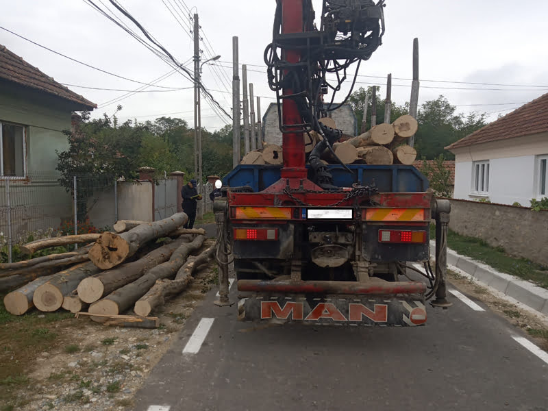 Read more about the article Amendă pentru transport de lemn cu aviz de însoţire neconform
