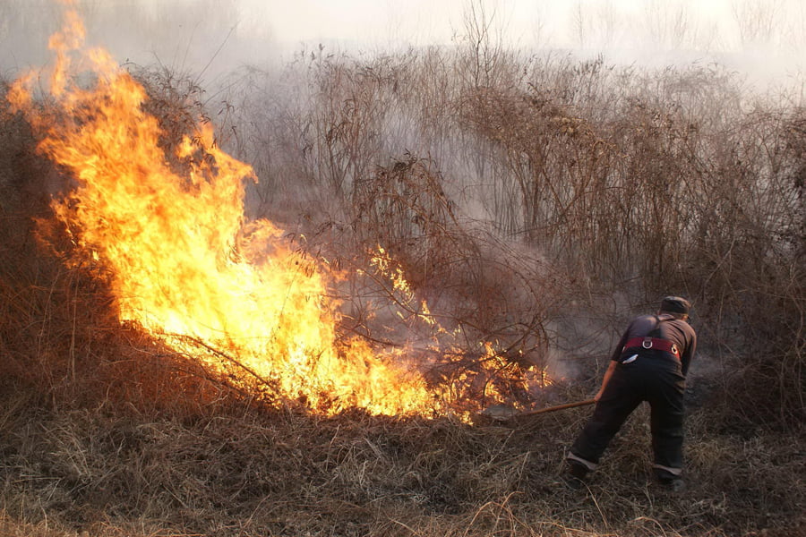 Read more about the article Pompierii hunedoreni au ajutat la stingerea a 14 incendii de vegetație uscată