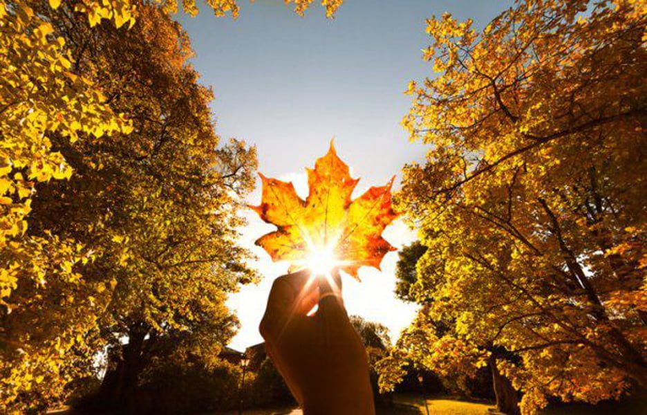 Read more about the article Prognoza ANM pentru luna octombrie. Se pot înregistra şi temperaturi de 38 de grade Celsius