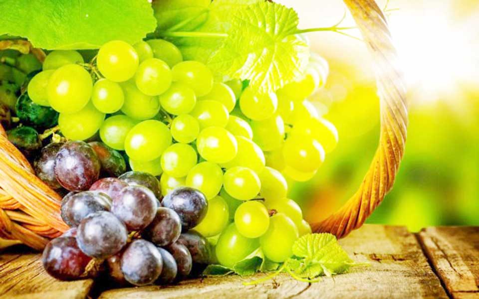 Read more about the article Strugurii – fructe cu multiple calități terapeutice