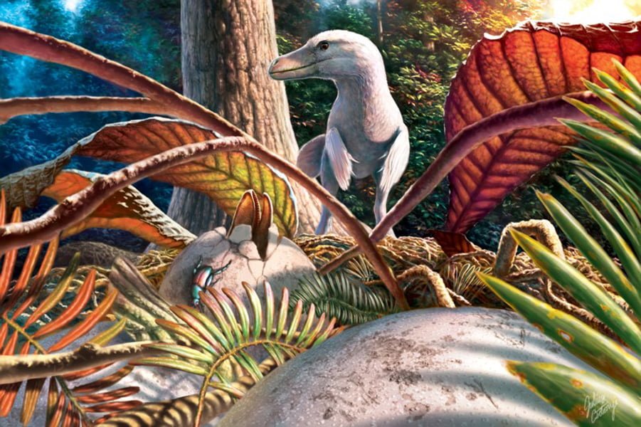 Read more about the article O nouă enigmă a dinozaurilor, elucidată de paleontologi