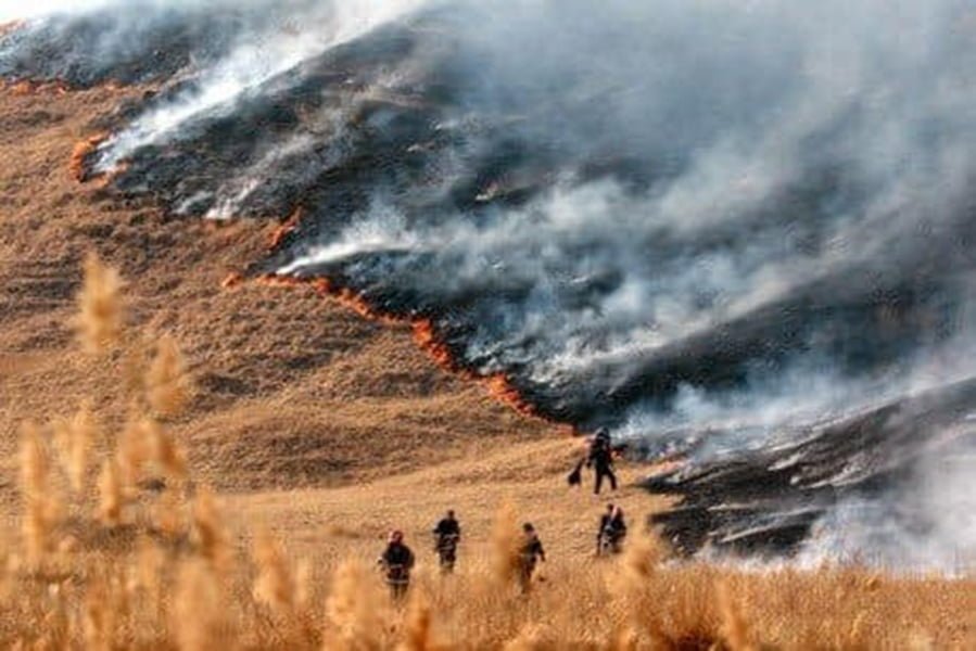 Read more about the article Zeci de incendii de vegetaţie uscată în doar câteva zile în judeţul Hunedoara