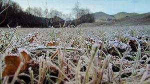 Read more about the article Meteo: Vreme deosebit de rece, brumă şi îngheţ la sol, până vineri dimineaţa