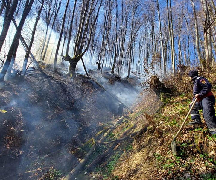Read more about the article A luat judeţul foc: 39 de incendii au fost stinse cu mari eforturi de pompierii hunedoreni