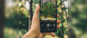 Read more about the article Exploatările ilegale de lemne, depistate prin GPS