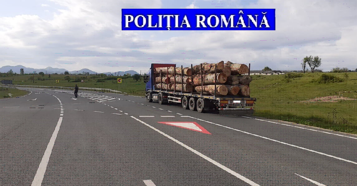 Read more about the article Amendă de 4.000 de lei pentru transport ilicit de material lemnos