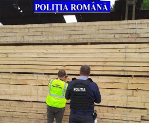 Read more about the article Controale ale Gărzii Forestiere Timișoara la depozite de material lemnos din Deva şi Şoimuş