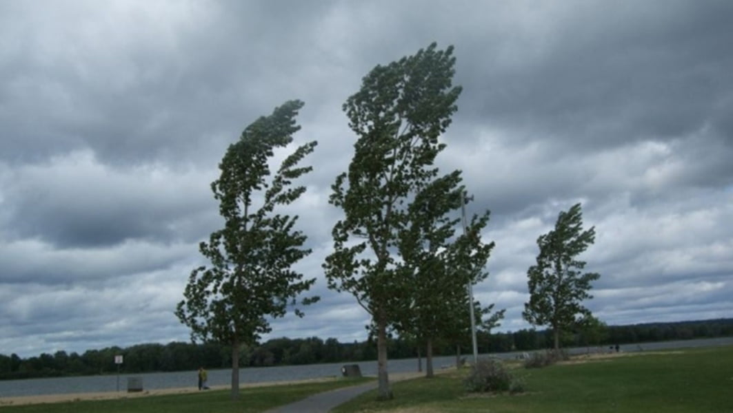 Read more about the article Atenționare meteo: COD GALBEN de vânt puternic, averse, vijelii și descărcări electrice până joi seara