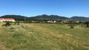 Read more about the article Vești bune pentru tinerii din Deva!