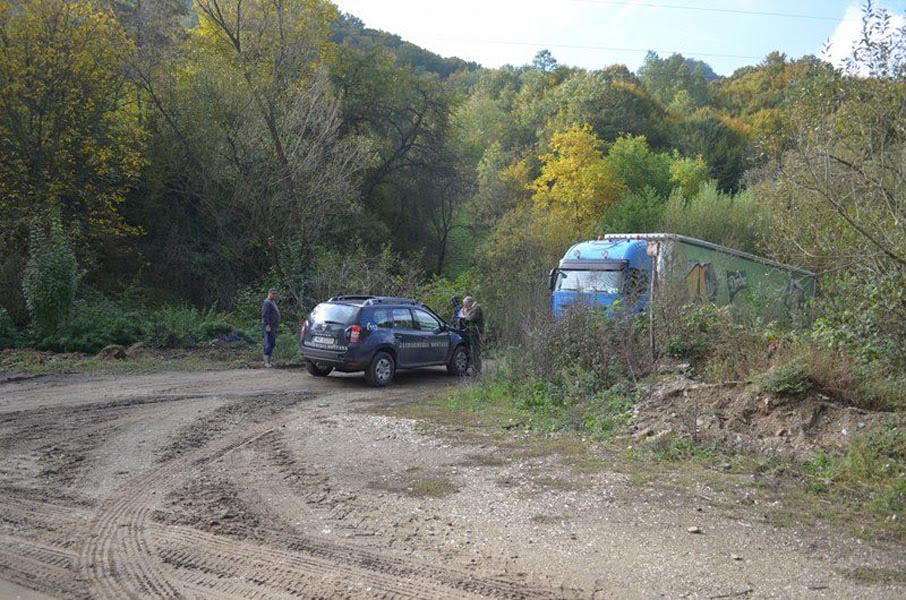 Read more about the article Transport ilegal de material lemnos depistat de jandarmii montani