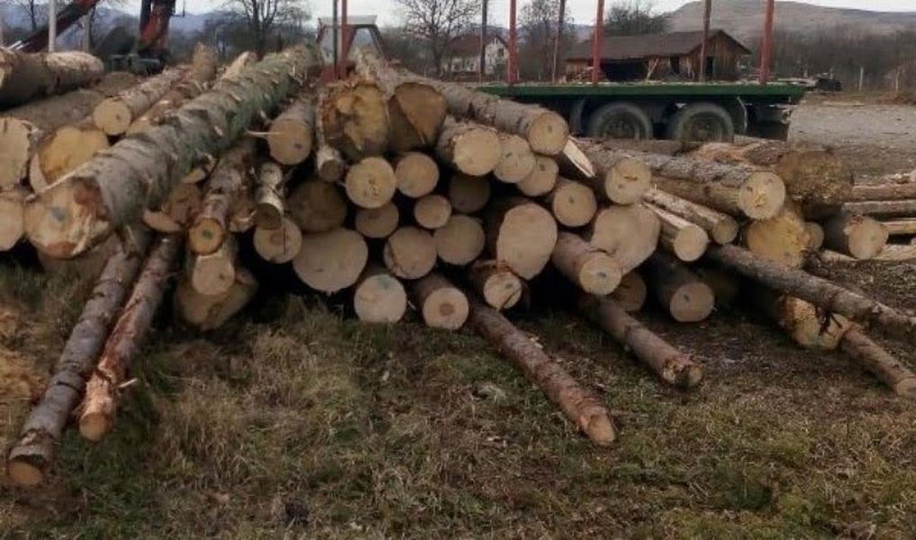 Read more about the article Amenzi pentru două societăţi din Bretea Română şi Lăpugiu de Jos, care au exploatat şi comercializat ilegal material lemnos