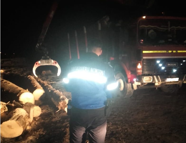 Read more about the article Un transport ilegal de material lemnos, de peste 23 metri cubi, a fost depistat de jandarmii montani