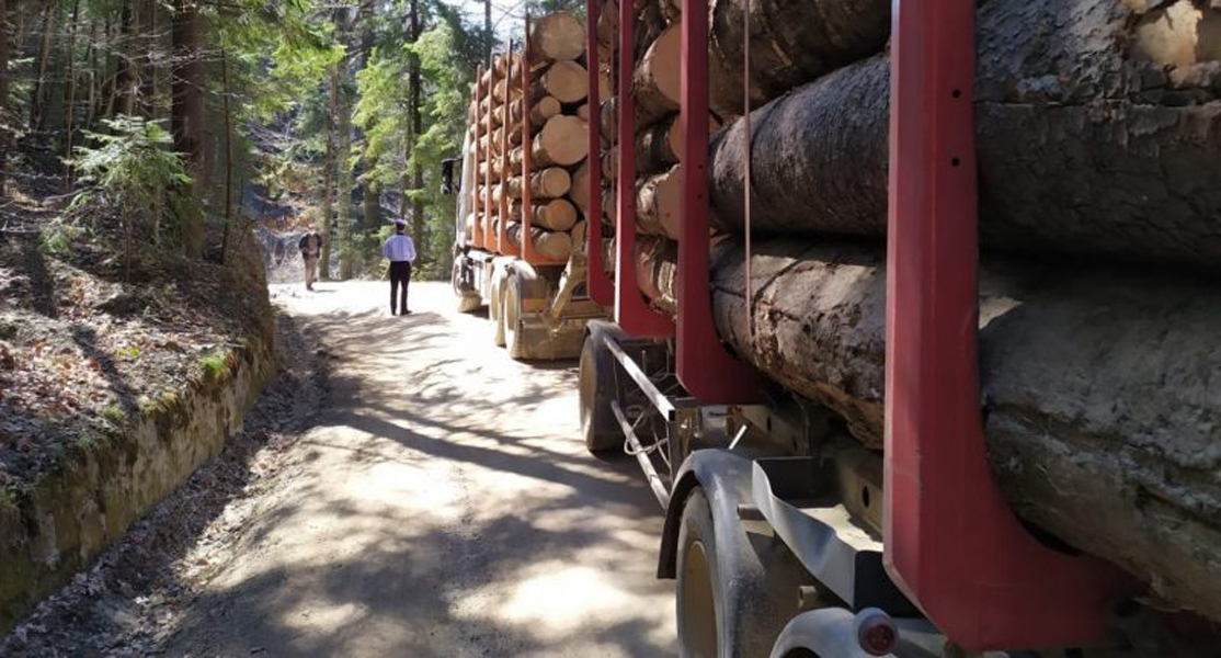 Read more about the article Amendă de 10.000 de lei şi confiscarea lemnului transportat ilegal, pentru un bărbat din Deva