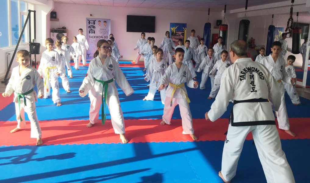 Read more about the article Campioni în Cetatea Devei – demonstraţie de taekwondo