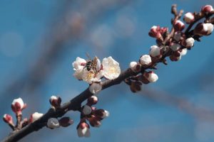 Read more about the article METEO: Prognoza pe următoarele 4 săptămâni – Vreme mai rece ca de obicei