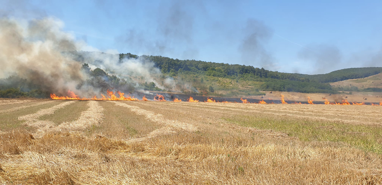 Read more about the article Incendiu puternic de mirişte, în Bretea Strei. A fost afectată o pădure de foioase