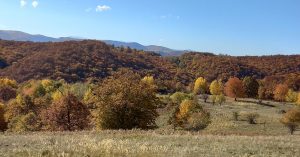 Read more about the article ANM: Vreme mai rece în această săptămână, dar temperaturile cresc din 1 noiembrie