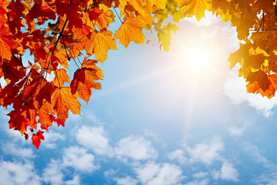 Read more about the article Septembrie 2021, una dintre cele mai călduroase luni septembrie înregistrate vreodată