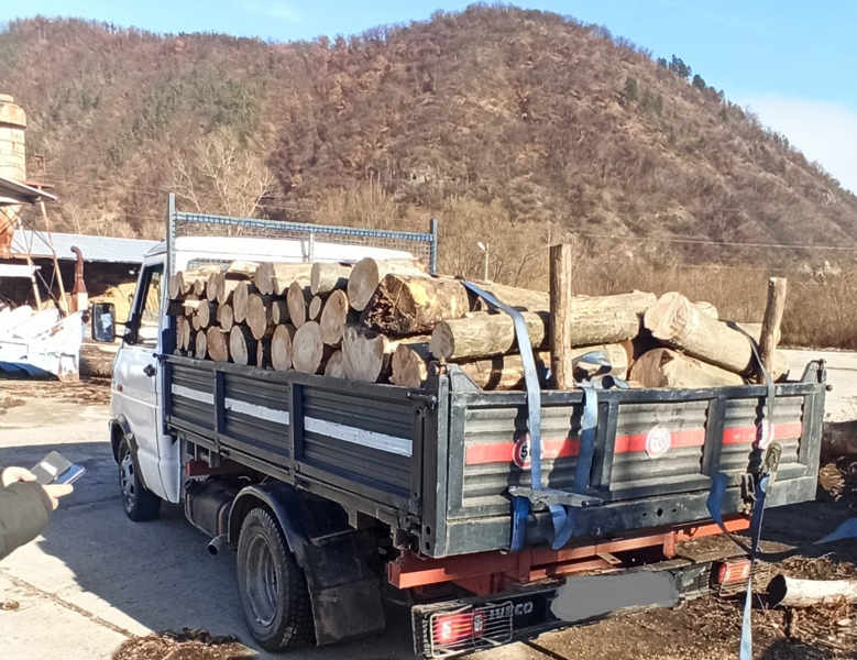 Read more about the article Amendă de 10.000 de lei pentru un bărbat din Topliţa şi confiscarea materialului lemnos transportat ilegal