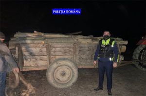 Read more about the article Dosar penal pentru un bărbat din Geoagiu, prins că transporta arbori tăiaţi ilegal