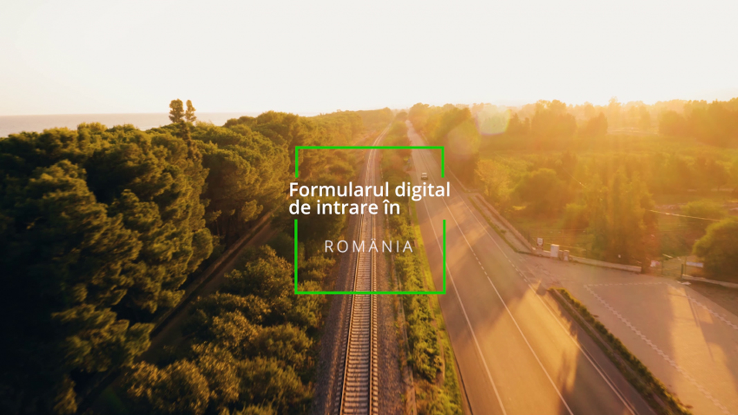 Read more about the article Cum completezi și cum generezi un formular PLF de intrare în România