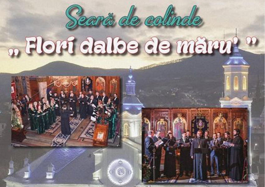 Read more about the article Concert de colinde la Catedrala Episcopală din Deva