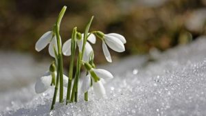 Read more about the article ANM: Prognoza meteo pe 4 săptămâni