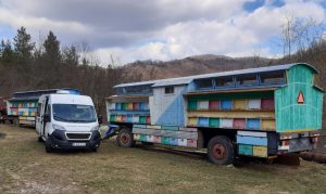 Read more about the article RAR, acțiuni pentru sprijinirea apicultorilor și deținătorilor de tractoare și utilaje agricole