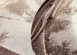 Read more about the article ANM: Un nor cu praf saharian ajunge deasupra României. Vestul, centrul și nordul țării, cele mai afectate zone