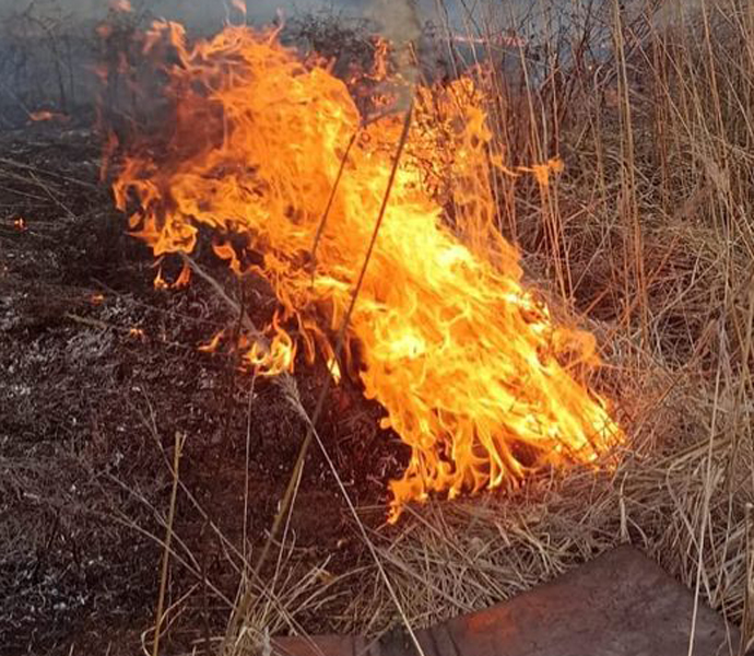 Read more about the article O femeie şi-a pierdut viaţa într-un incendiu de vegetaţie uscată