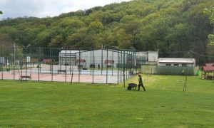 Read more about the article Primăria Deva – Comunicat de presă