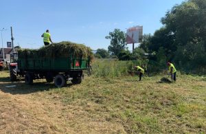 Read more about the article DEVA: În ce zone se execută MARŢI lucrări de întreținere și curățenie a spațiilor verzi