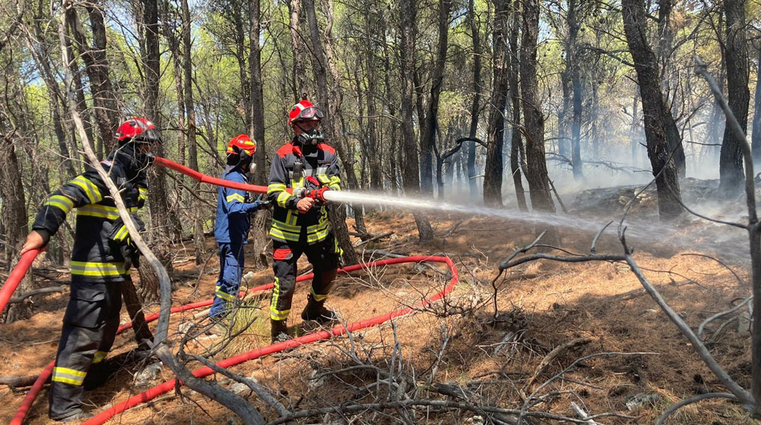 Read more about the article A doua zi de foc pentru pompierii români din Grecia
