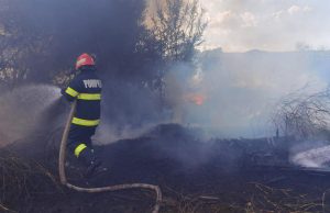 Read more about the article Peste 50 de hectare de vegetaţie uscată, mărăciniş şi lăstăriş, afectate de incendii în ultimele 48 de ore
