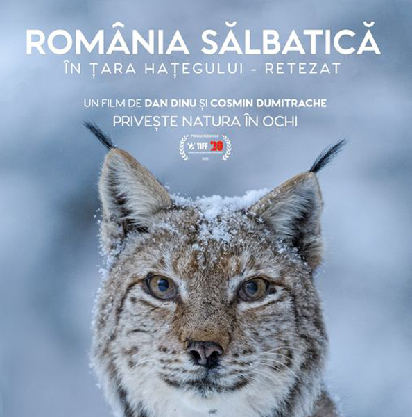 Read more about the article Documentarul “România Sălbatică”, proiecţii în trei locaţii din judeţul Hunedoara