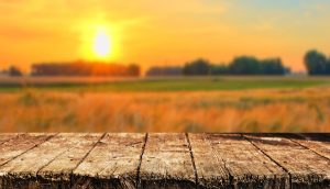 Read more about the article Meteo: Temperaturi normale, în următoarele două săptămâni. Ploi însemnate cantitativ, abia după 14 august